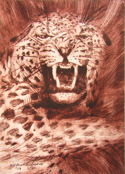 Bild Aggressiver Leopard von Uli Aschenborn